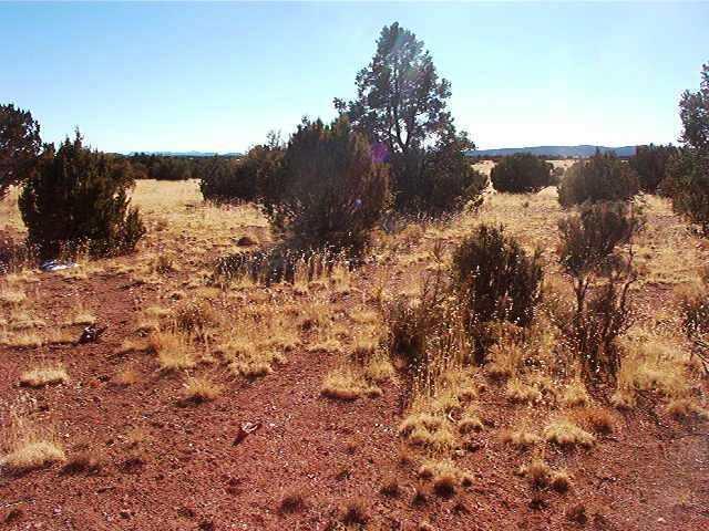208 Denny 5 Road Seligman, AZ 86337 - Photo 4 of 5 Additional Photo