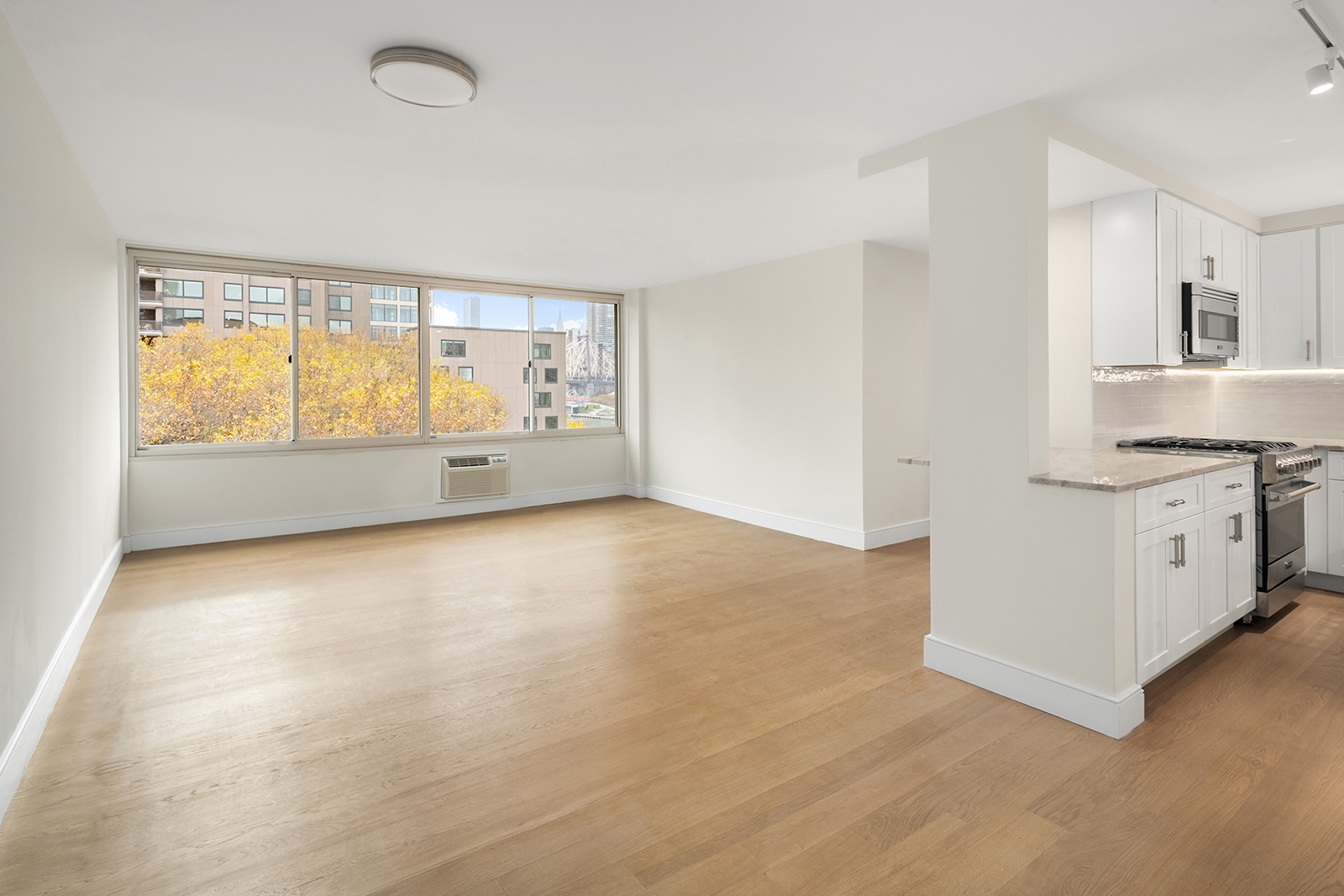 555 Main Street, Unit 805 Manhattan, NY 10044 - Photo 4 of 24