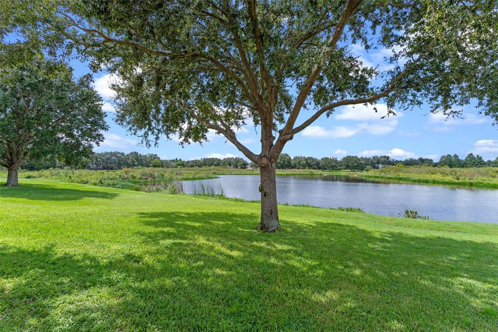 4926 Indian Deer Road Windermere, FL 34786 - Photo 37 of 51 Gallery Image 37