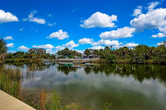a view of a lake with boats and trees in the background