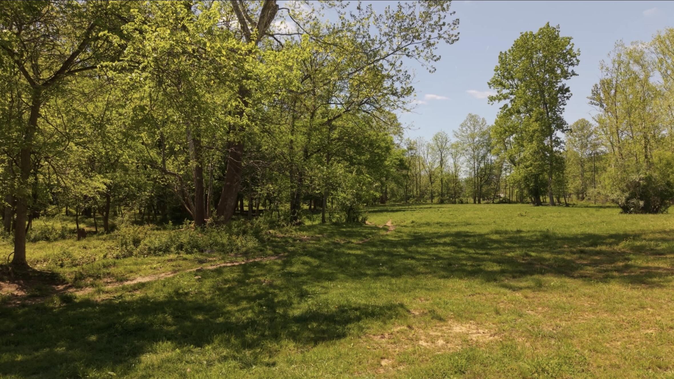 1568 Quicks Run Road Vanceburg, KY 41179 - Photo 46 of 49 IMG_8194