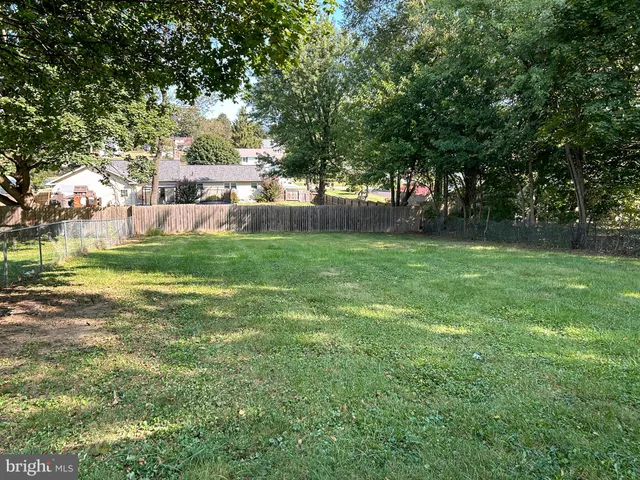a view of a trees with a yard