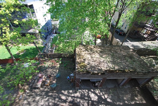 90 Montebello Road, Unit 3 Boston, MA 02130 - Photo 11 of 11 a picture of lots of trees