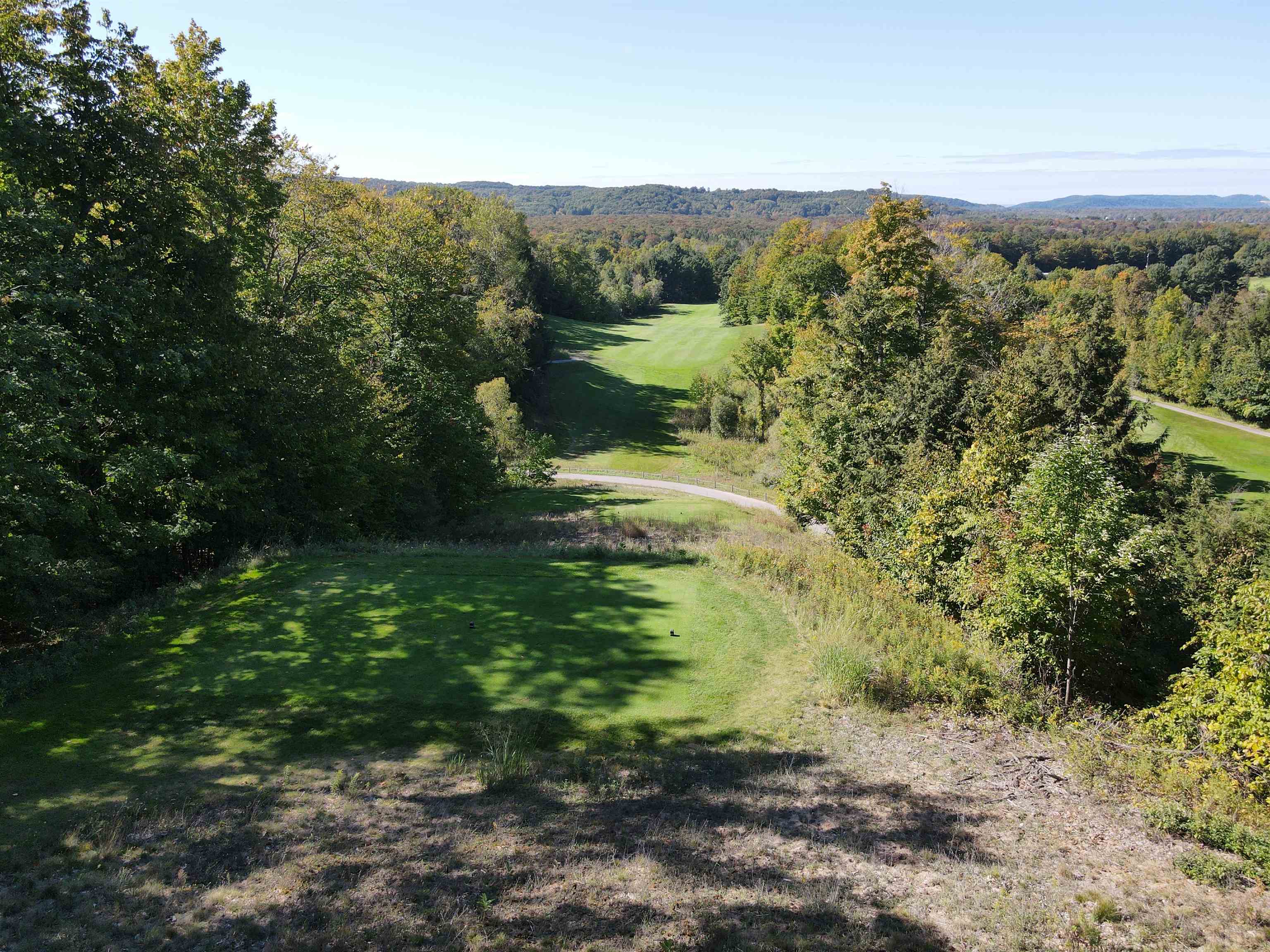 0 East Old Mountain Road Cedar, MI 49621 - Photo 7 of 14 1916269-6.JPG