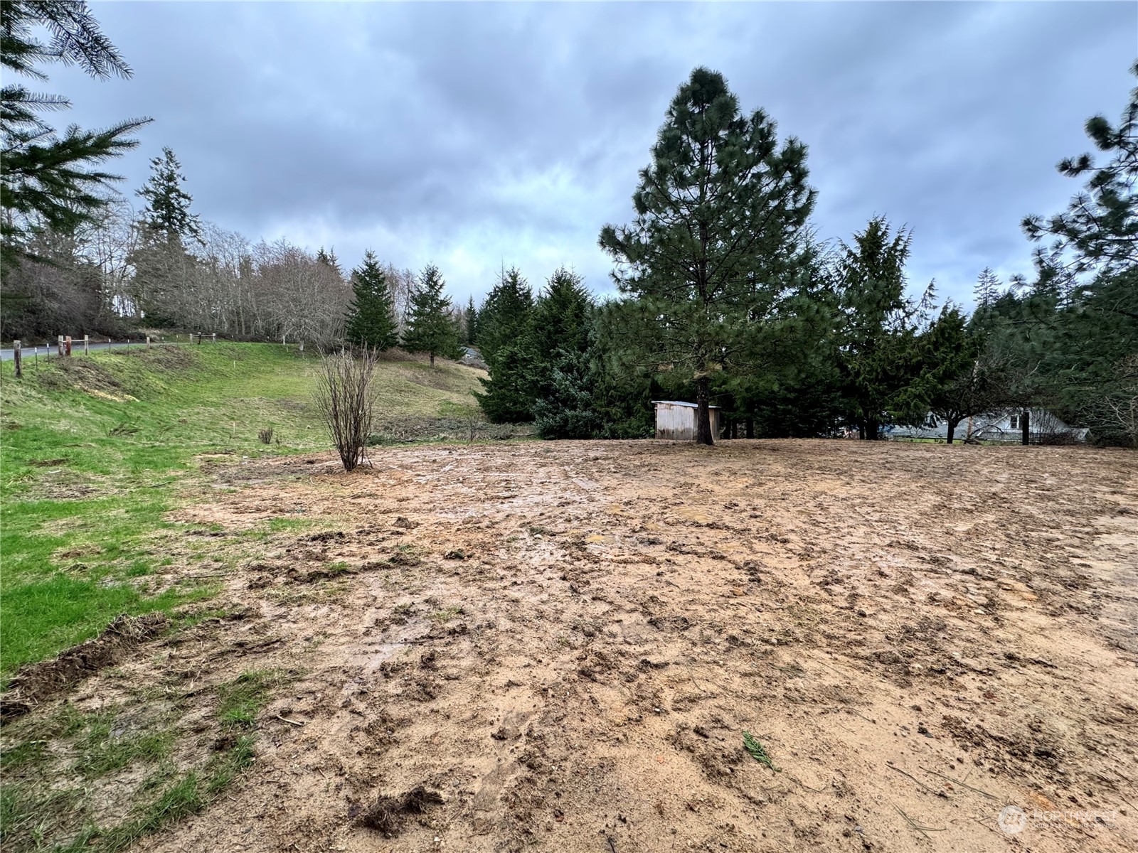 122 Ward Road Longview, WA 98632 - Photo 21 of 21 a backyard of a house with lots of green space