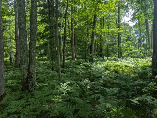 $49,900 | V/l V/l Caberfae Highway, Manistee, MI 49660