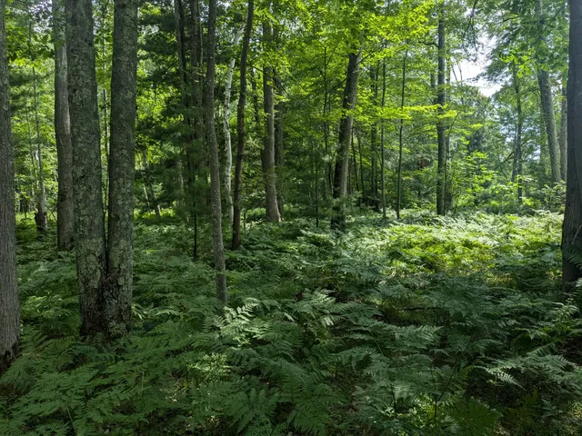 $49,900 | V/l V/l Caberfae Highway, Manistee, MI 49660