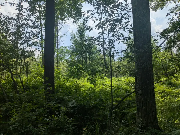 $49,900 | V/l V/l Caberfae Highway, Manistee, MI 49660