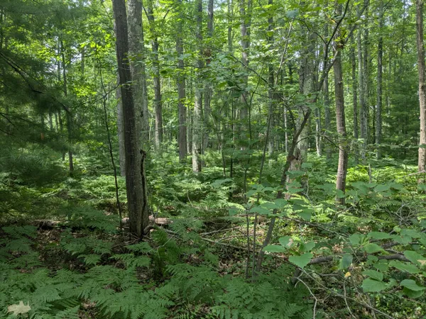 $49,900 | V/l V/l Caberfae Highway, Manistee, MI 49660