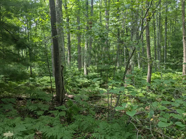 $49,900 | V/l V/l Caberfae Highway, Manistee, MI 49660