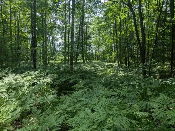 $49,900 | V/l V/l Caberfae Highway, Manistee, MI 49660