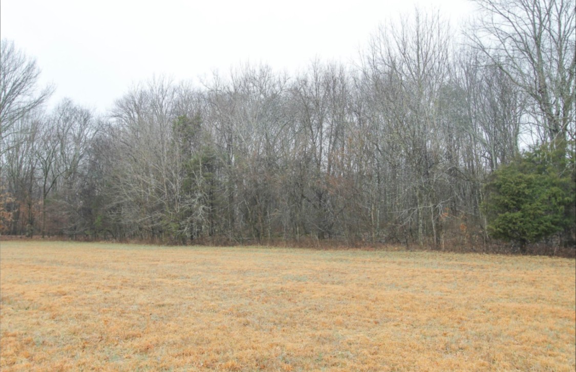 0 Hurchel Fox Road Spring Hill, TN 37174 - Photo 1 of 1 Gallery Image 1