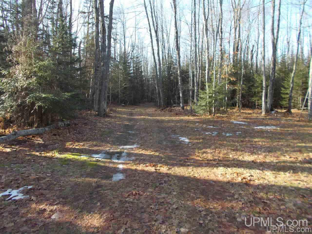 Tbd Tbd Co Road Ishpeming, MI 49849 - Photo 16 of 29