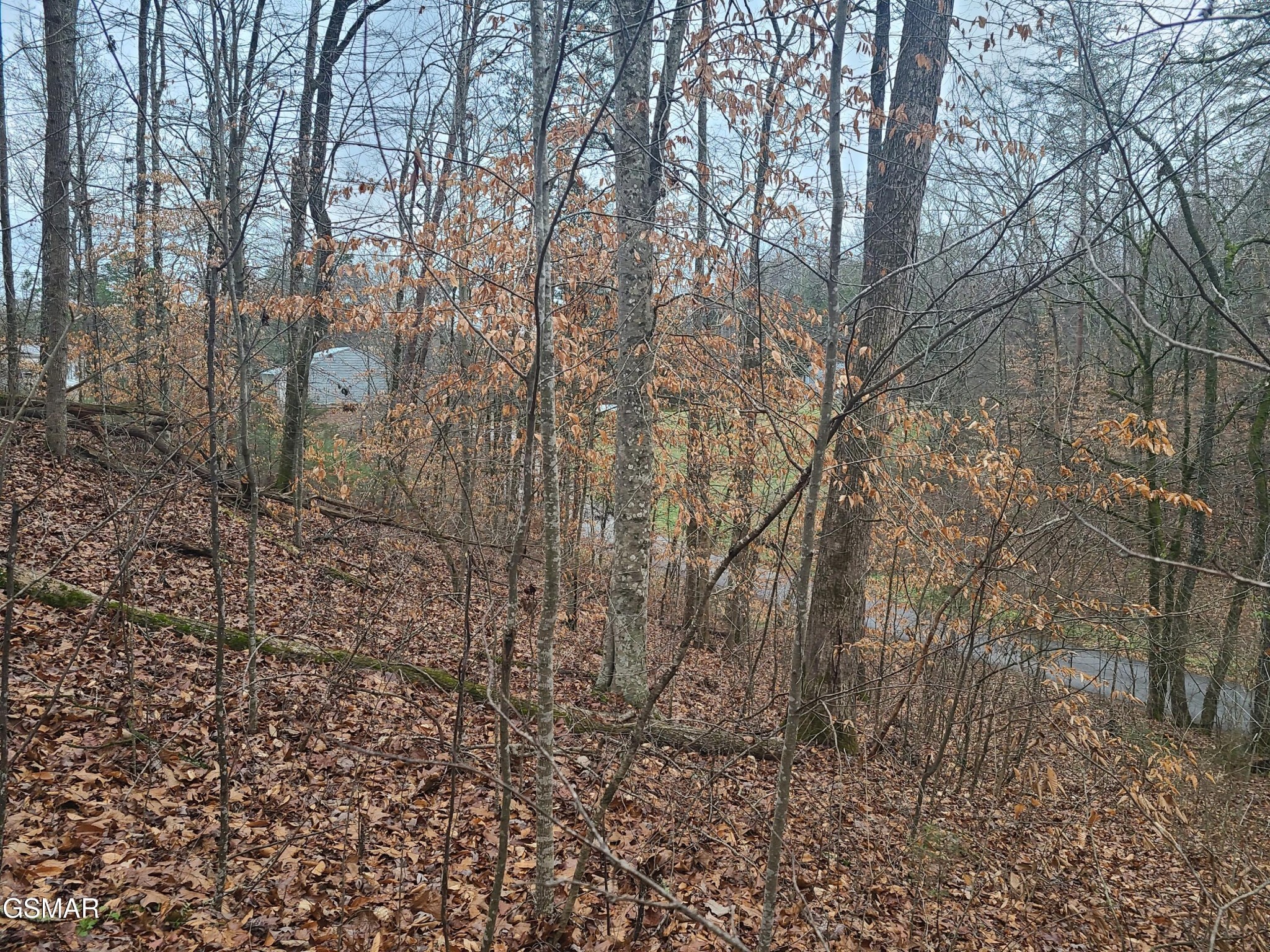 0 Keystown Road Luttrell, TN 37779 - Photo 5 of 5