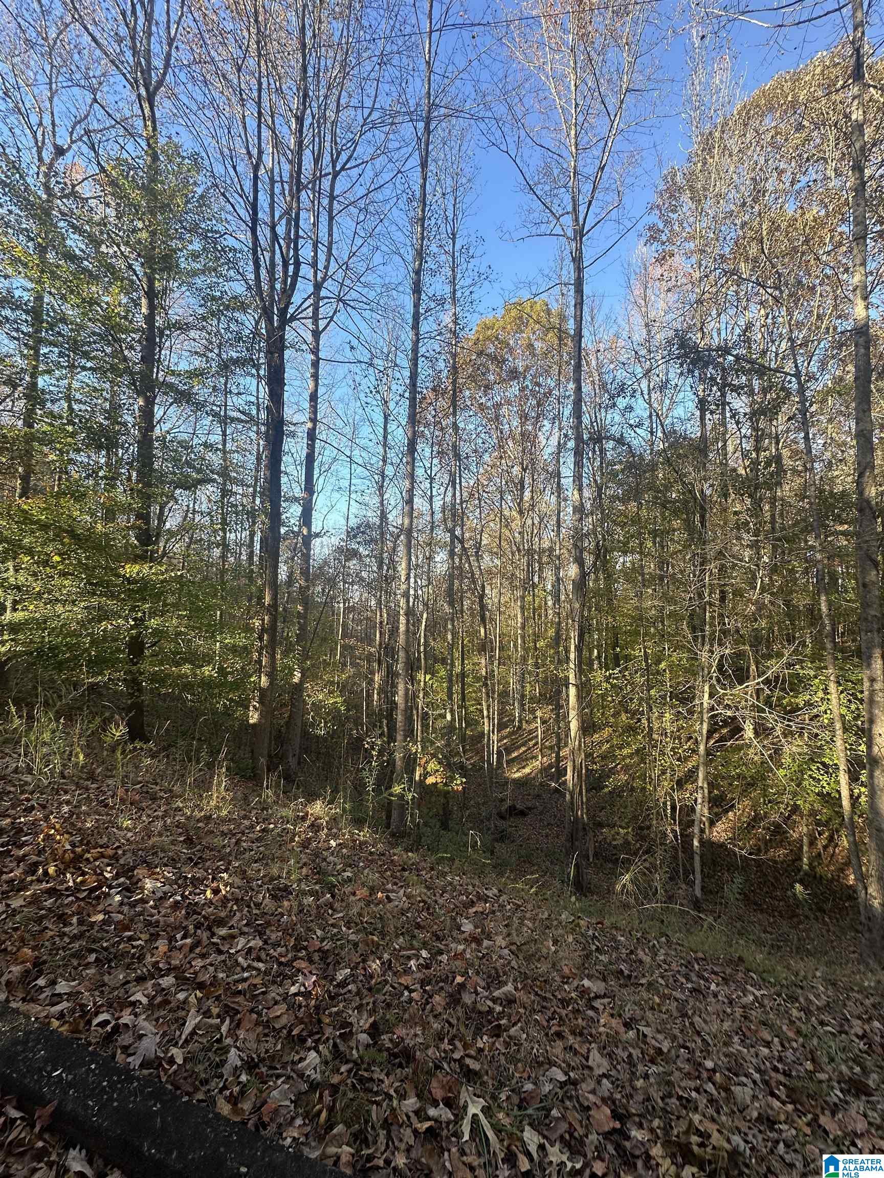 526 County Road 125 Heflin, AL 36264 - Photo 74 of 83