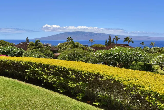 a view of a houses with green field