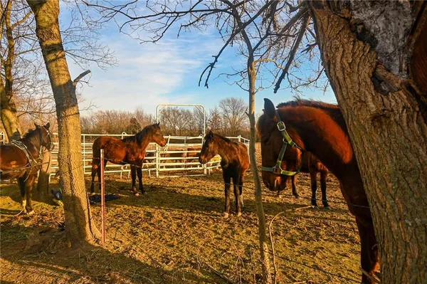 $450,000 | 71 West V Highway, Lamar, MO 64759