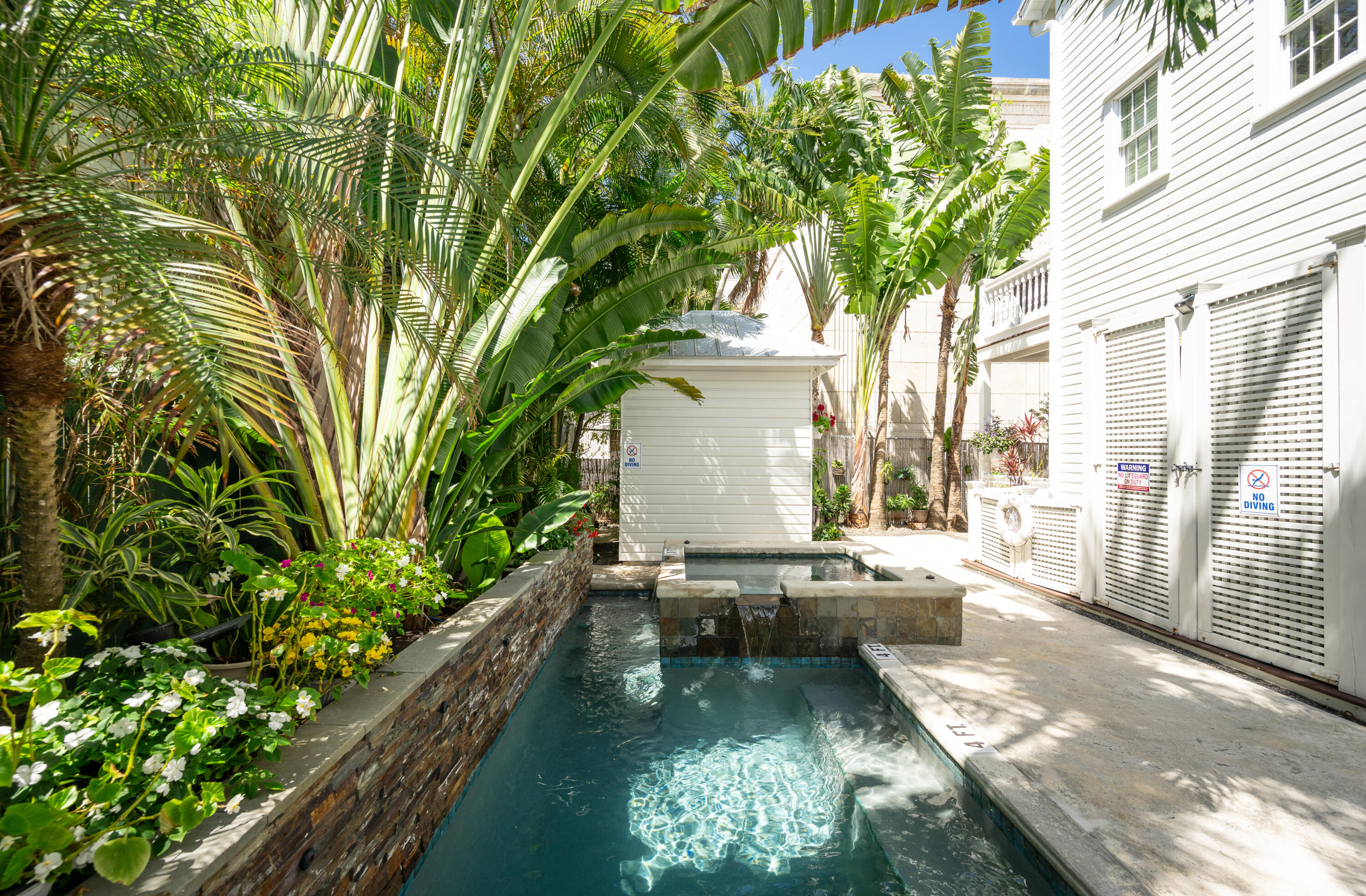 616 Caroline Street, Unit 6 Key West, FL 33040 - Photo 8 of 29 Pool
