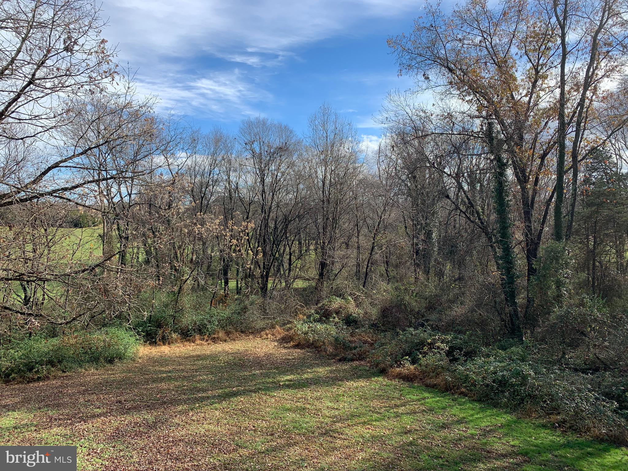 94 Duplex Lane, Unit 4 Madison, VA 22727 - Photo 13 of 13 Back yard