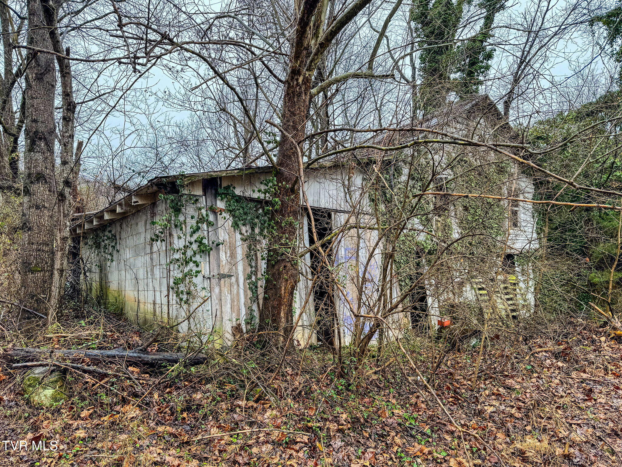 Tbd Tbd Hipps Road Elizabethton, TN 37643 - Photo 25 of 57 201