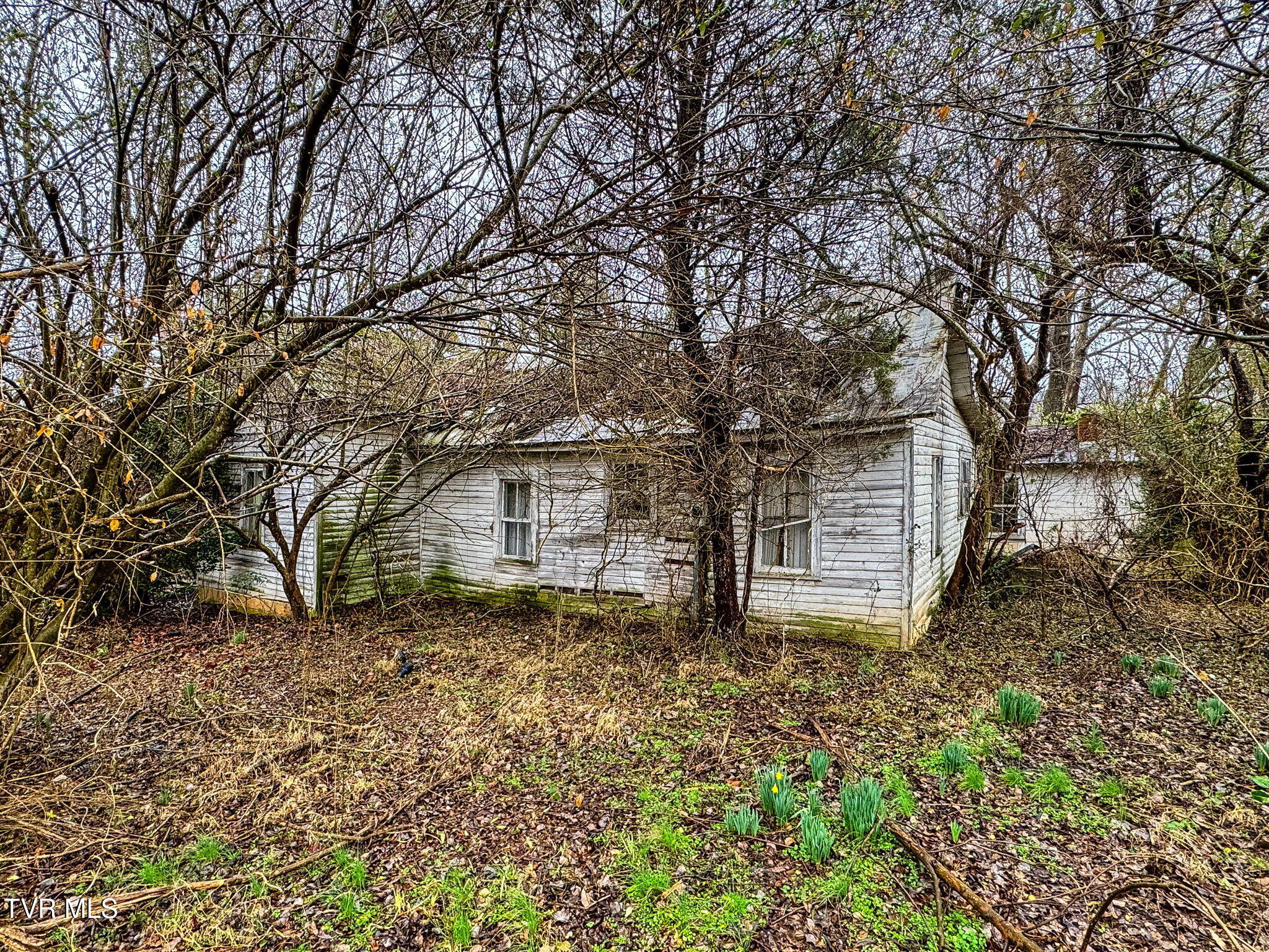 Tbd Tbd Hipps Road Elizabethton, TN 37643 - Photo 28 of 57 204