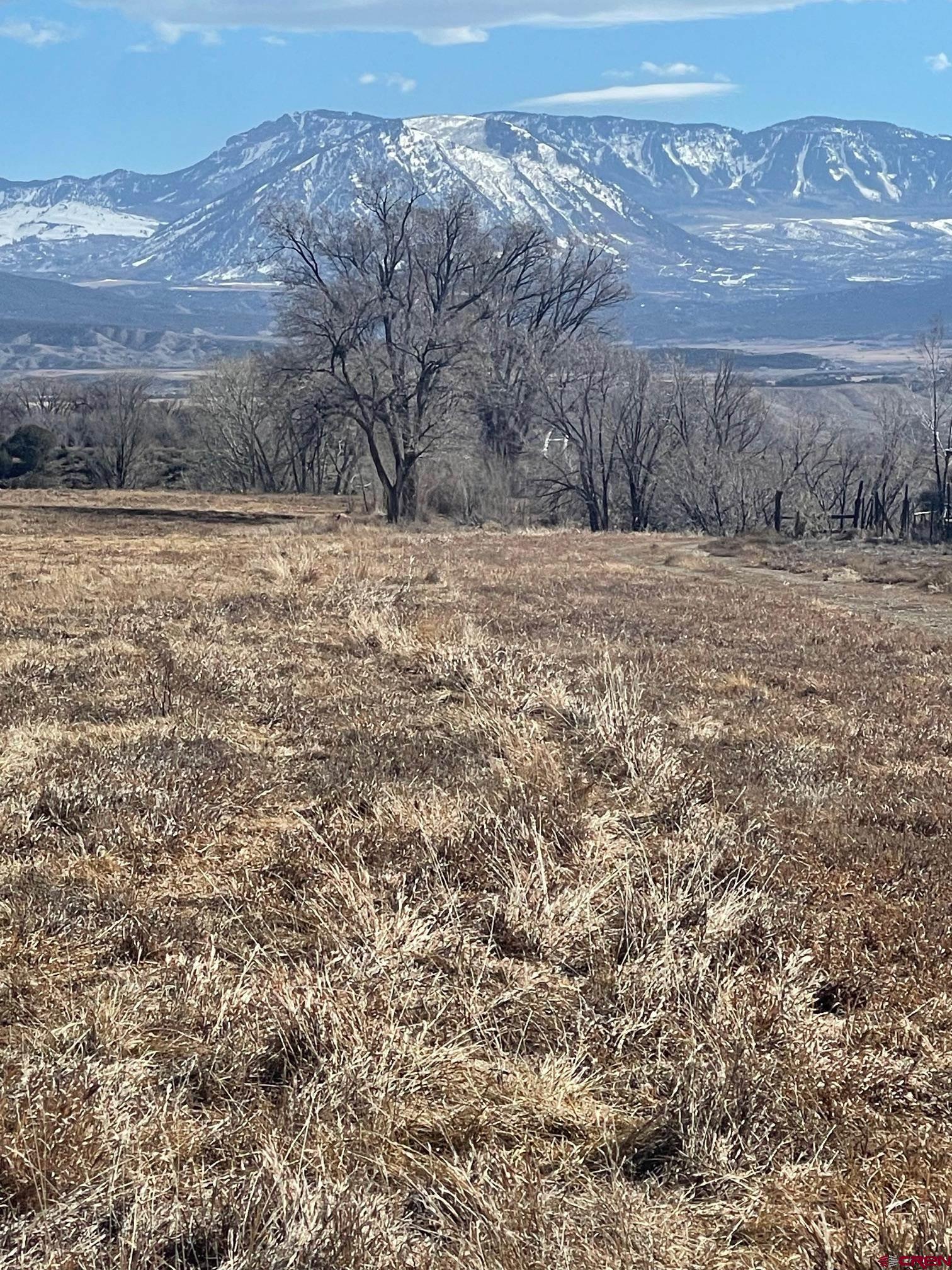 Tbd 3300th Road Hotchkiss, CO 81419 - Photo 11 of 18
