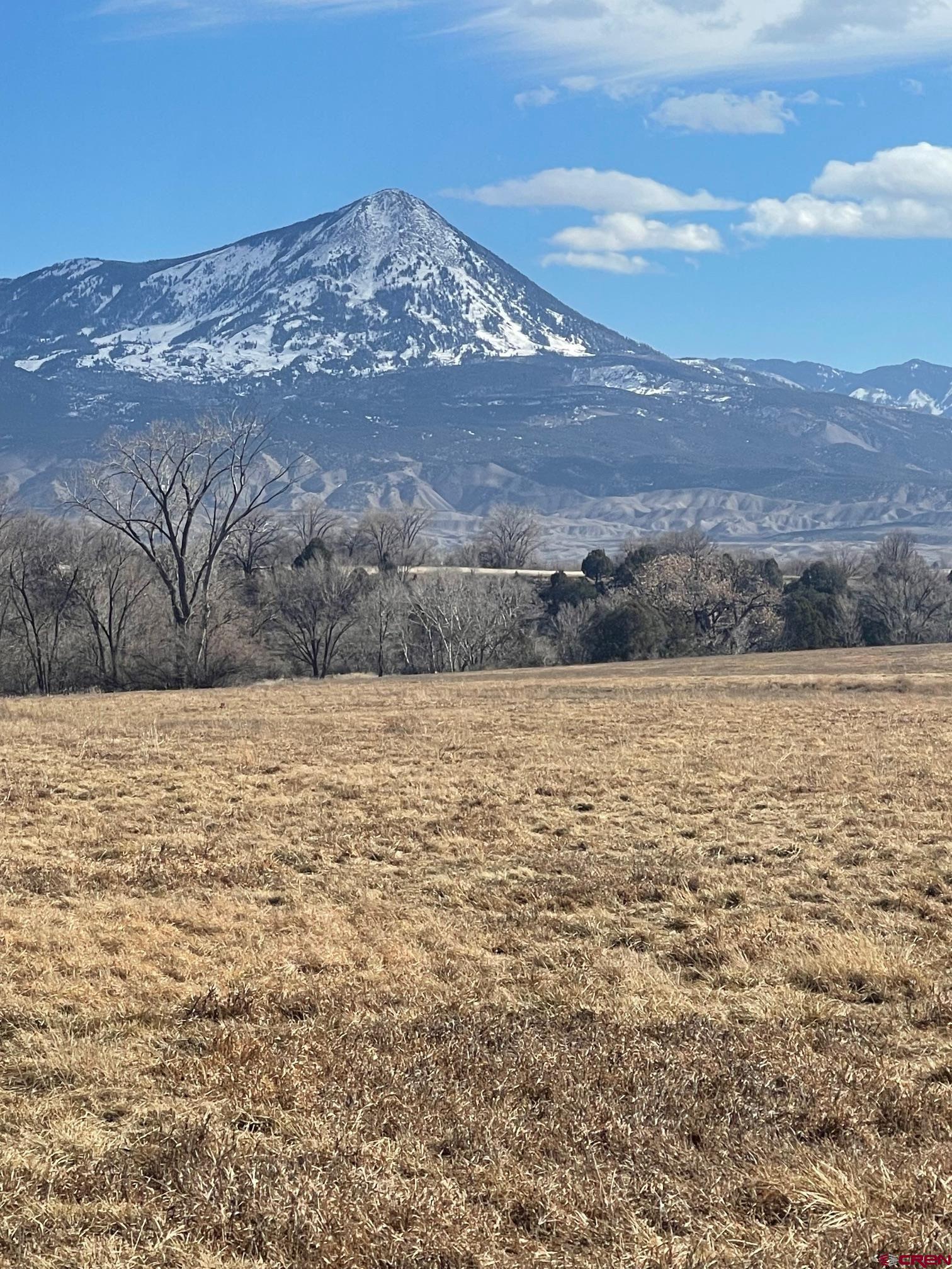 Tbd 3300th Road Hotchkiss, CO 81419 - Photo 12 of 18