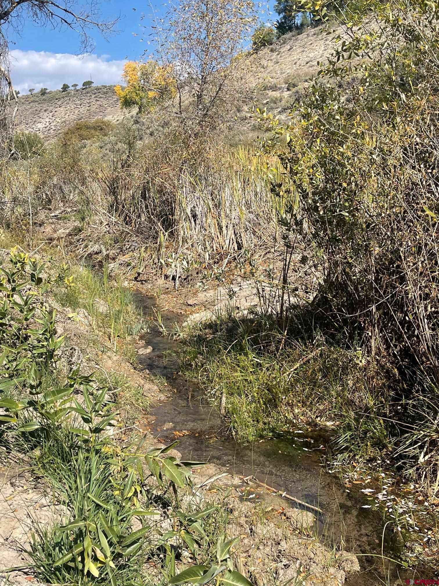 Tbd 3300th Road Hotchkiss, CO 81419 - Photo 2 of 18