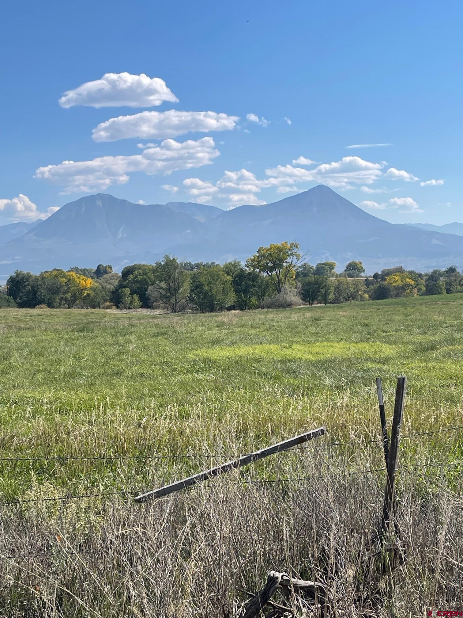Tbd 3300th Road Hotchkiss, CO 81419 - Photo 4 of 18
