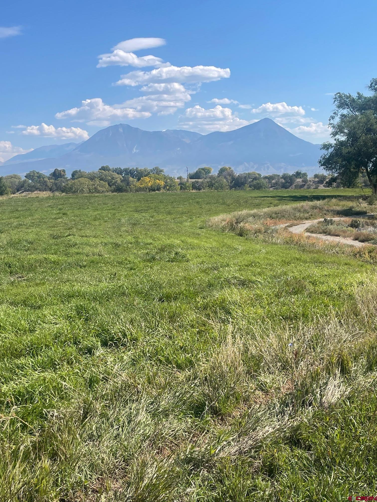 Tbd 3300th Road Hotchkiss, CO 81419 - Photo 5 of 18