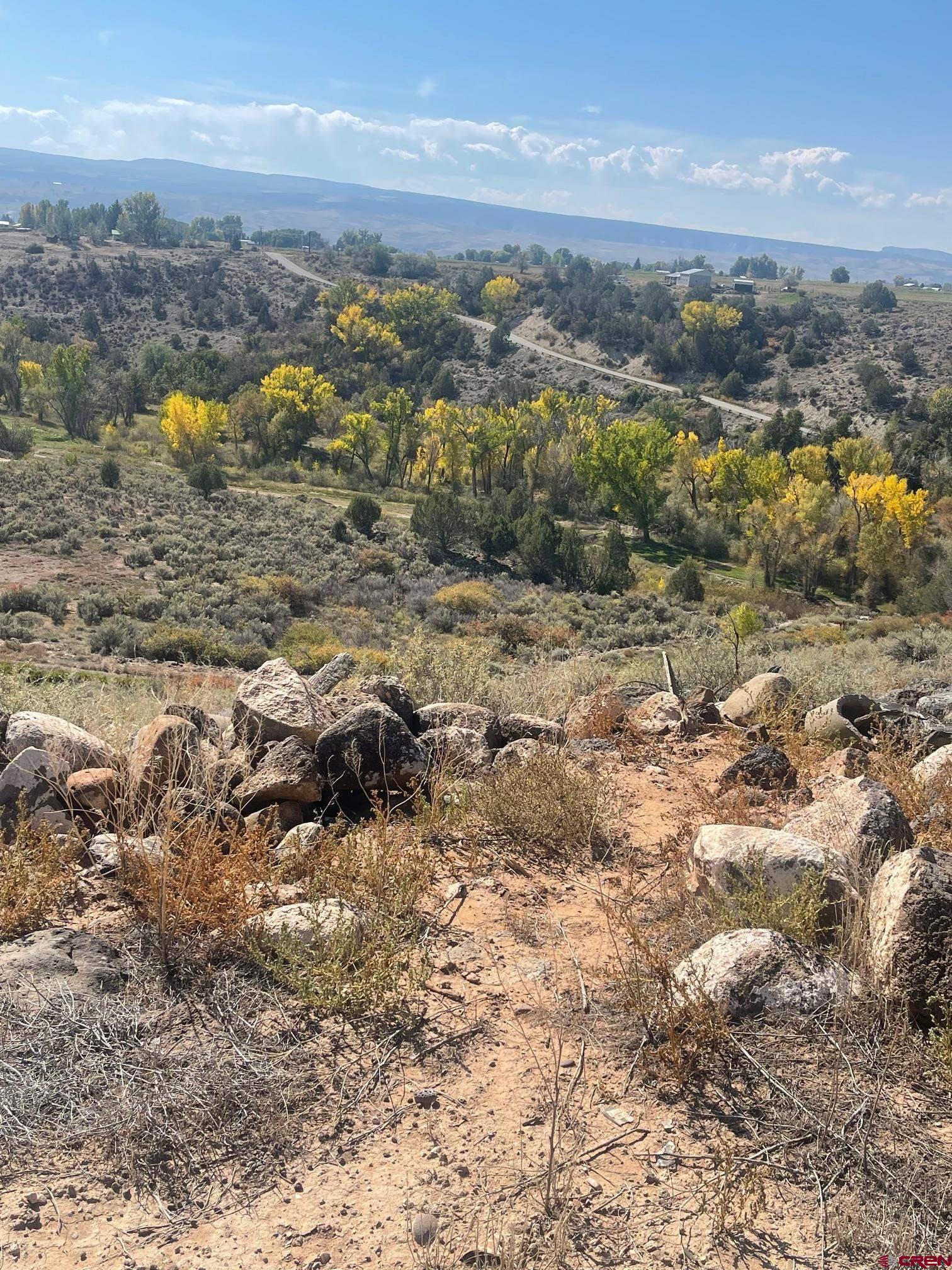 Tbd 3300th Road Hotchkiss, CO 81419 - Photo 7 of 18