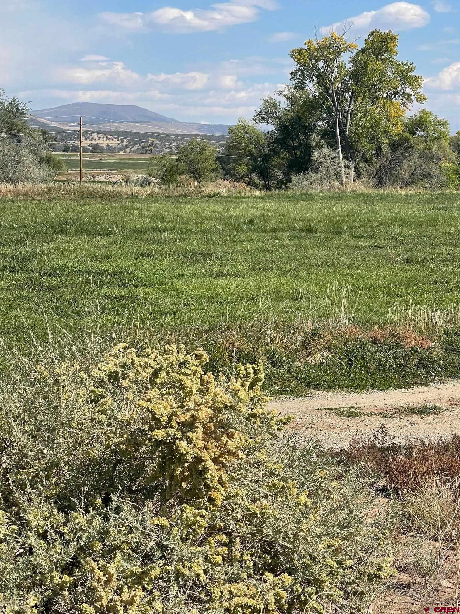 Tbd 3300th Road Hotchkiss, CO 81419 - Photo 9 of 18