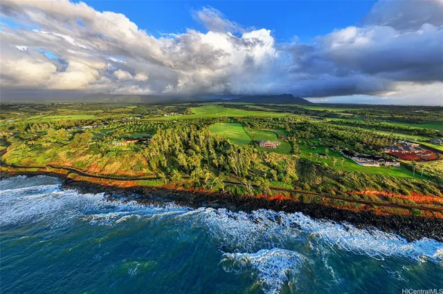 a view of a yard with swimming pool