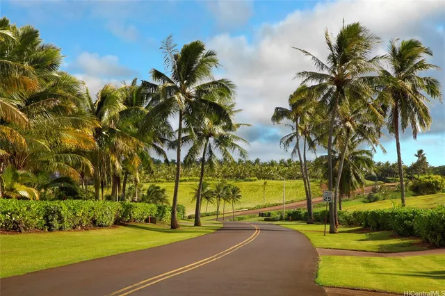 a view of an ocean beach