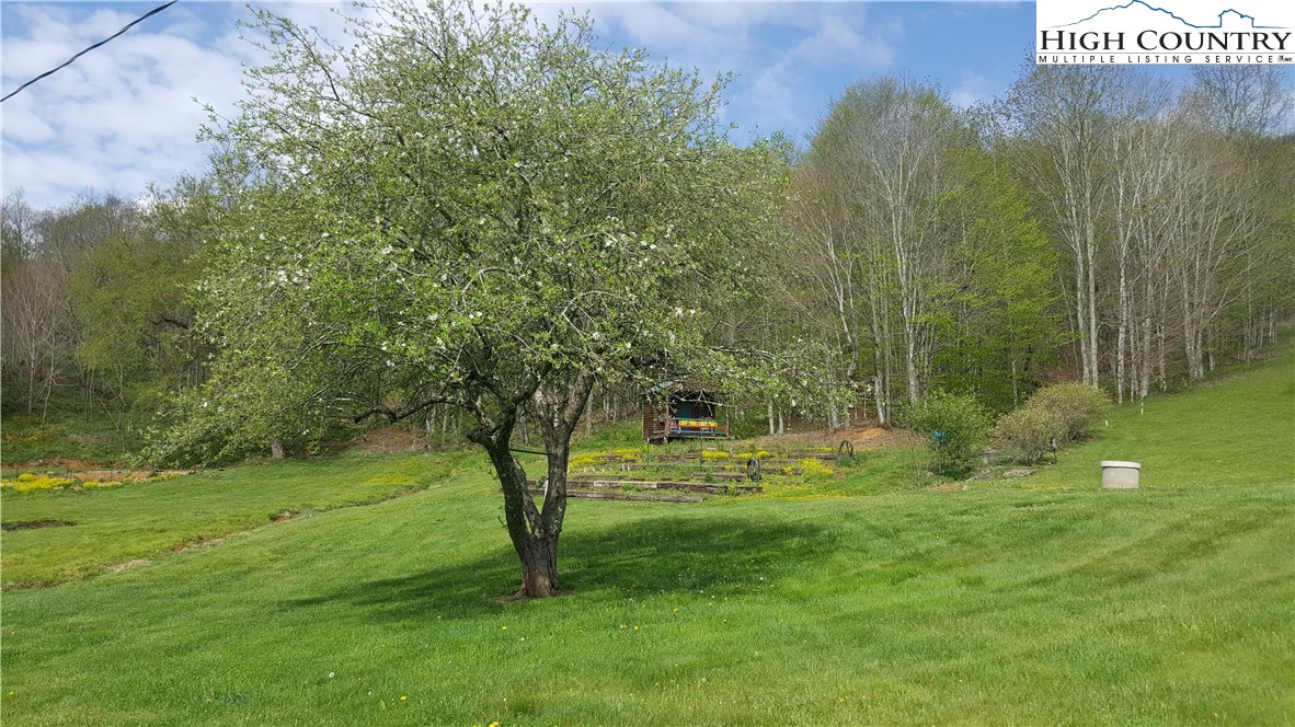 1266-1268 Proffit Road Boone, NC 28607 - Photo 50 of 50 Gallery Image 50