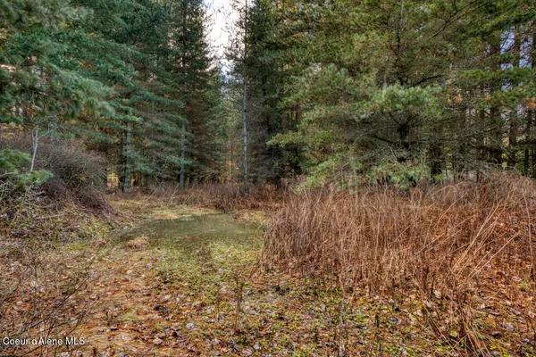 $3,200,000 | 64 West Bronx Road, Sandpoint, ID 83864