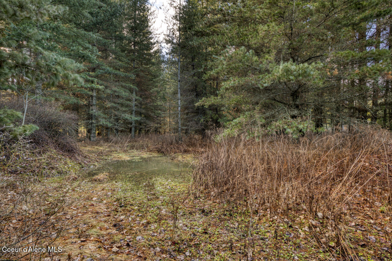 64 West Bronx Road Sandpoint, ID 83864 - Photo 12 of 12 64 W Bronx-14