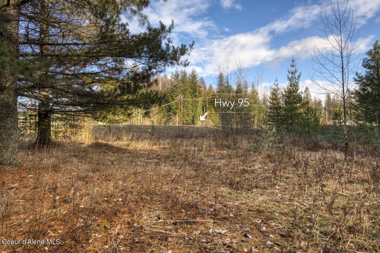 64 West Bronx Road Sandpoint, ID 83864 - Photo 9 of 12 .