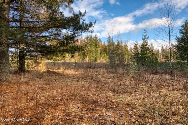 $3,200,000 | 64 West Bronx Road, Sandpoint, ID 83864