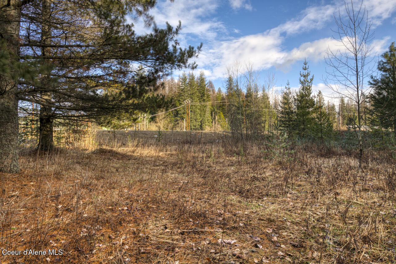 64 West Bronx Road Sandpoint, ID 83864 - Photo 10 of 12 .