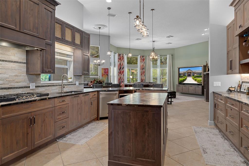 3975 North Grayhawk Loop Lecanto, FL 34461 - Photo 18 of 100