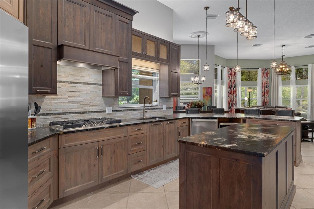 3975 North Grayhawk Loop Lecanto, FL 34461 - Photo 19 of 100