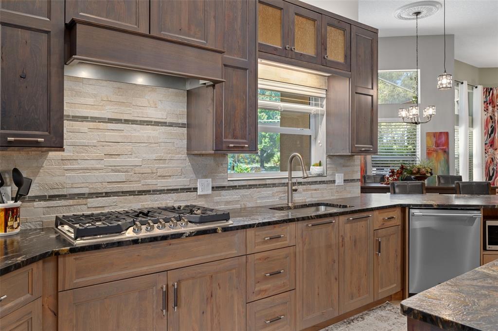 3975 North Grayhawk Loop Lecanto, FL 34461 - Photo 20 of 100