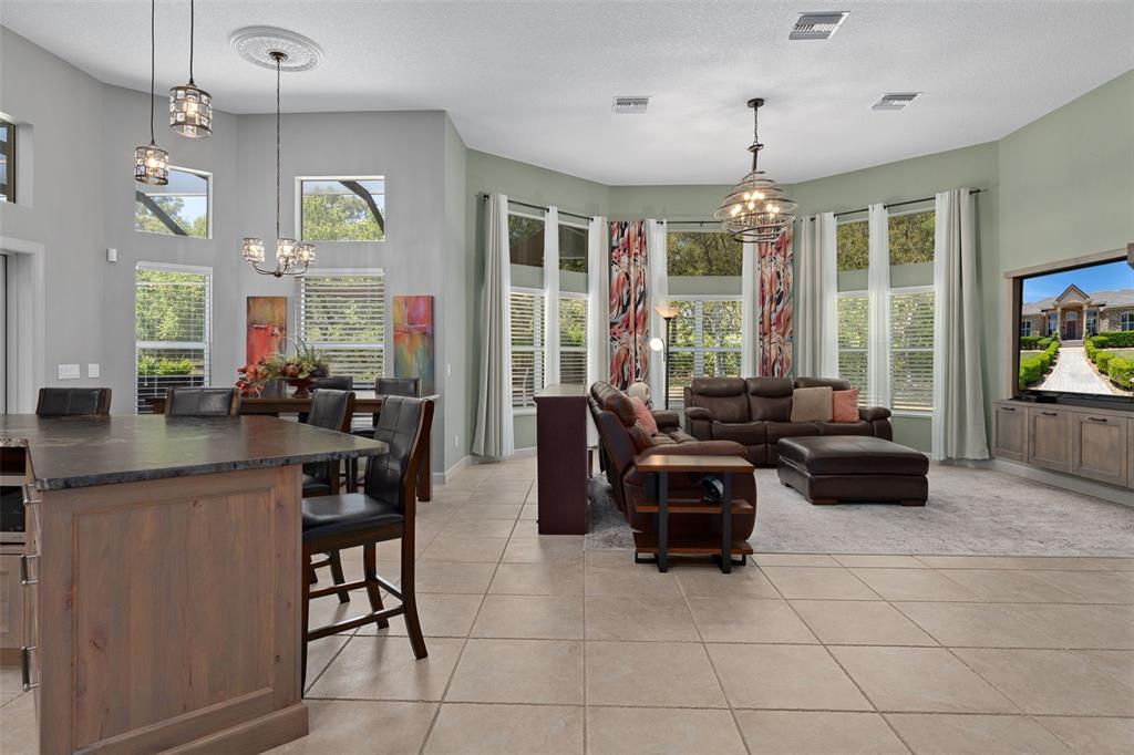 3975 North Grayhawk Loop Lecanto, FL 34461 - Photo 26 of 100