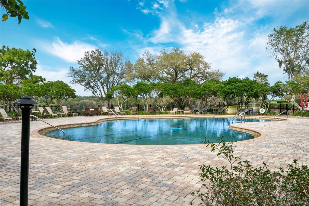 3975 North Grayhawk Loop Lecanto, FL 34461 - Photo 84 of 100