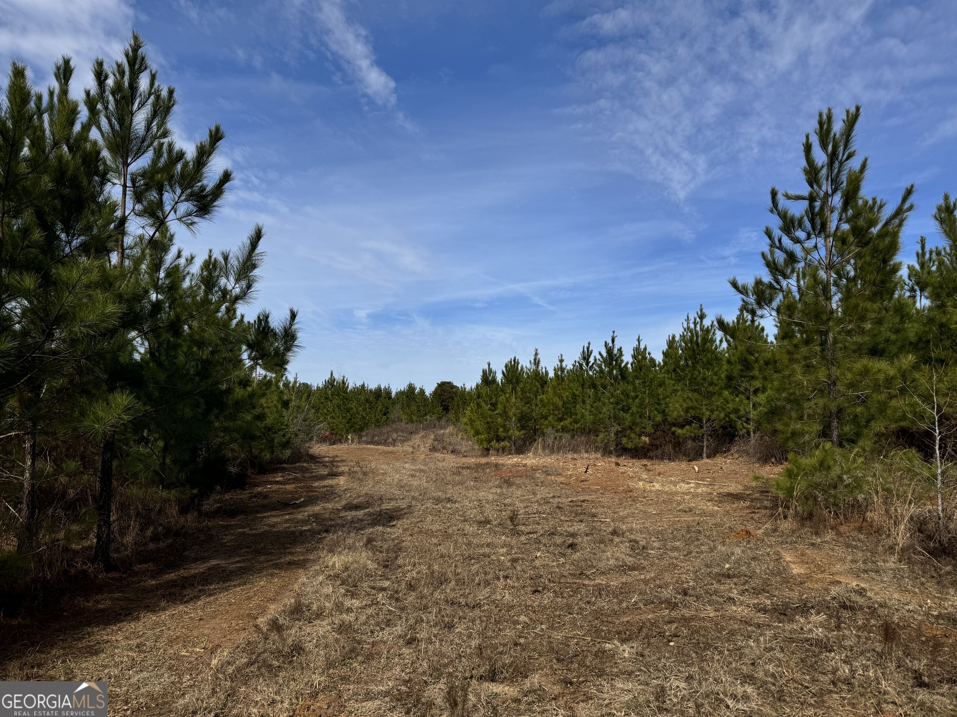 23 Marvin Murphy Road Ellaville, GA 31806 - Photo 4 of 5 a view of a field with trees in the background