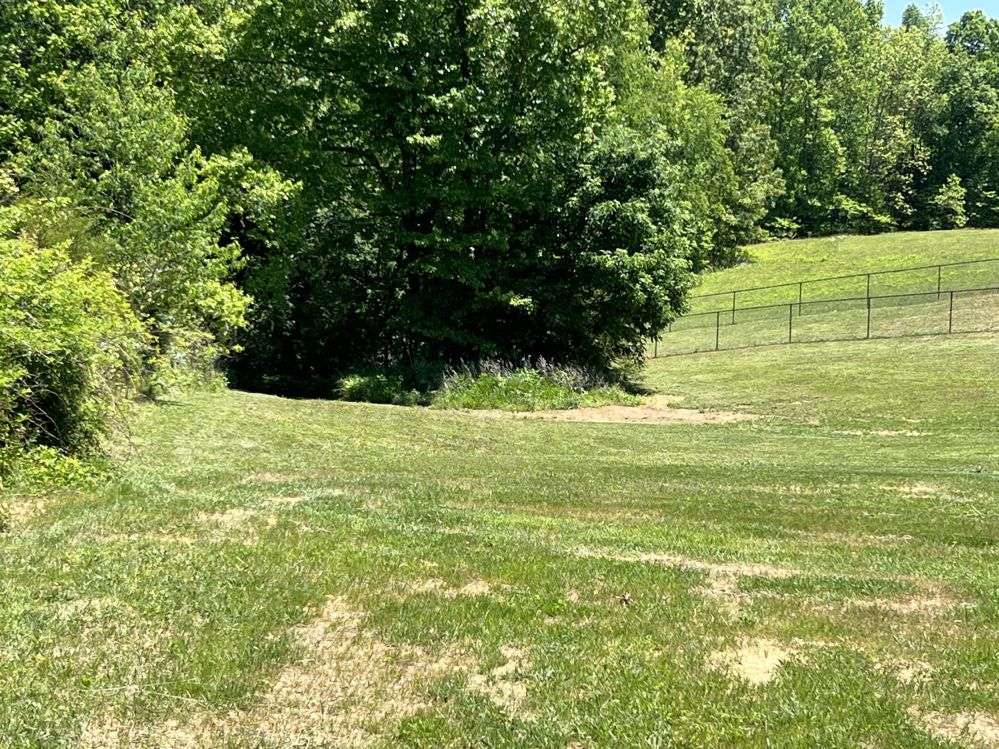 235 Ralph Spivey Lane Gainesboro, TN 38562 - Photo 12 of 80