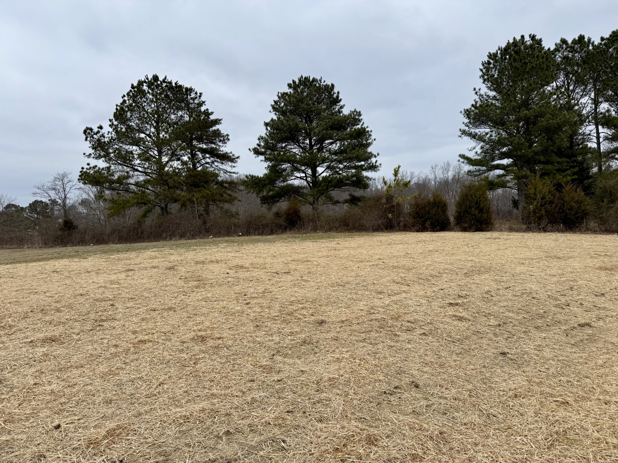 235 Ralph Spivey Lane Gainesboro, TN 38562 - Photo 4 of 39 a view of pool with green space