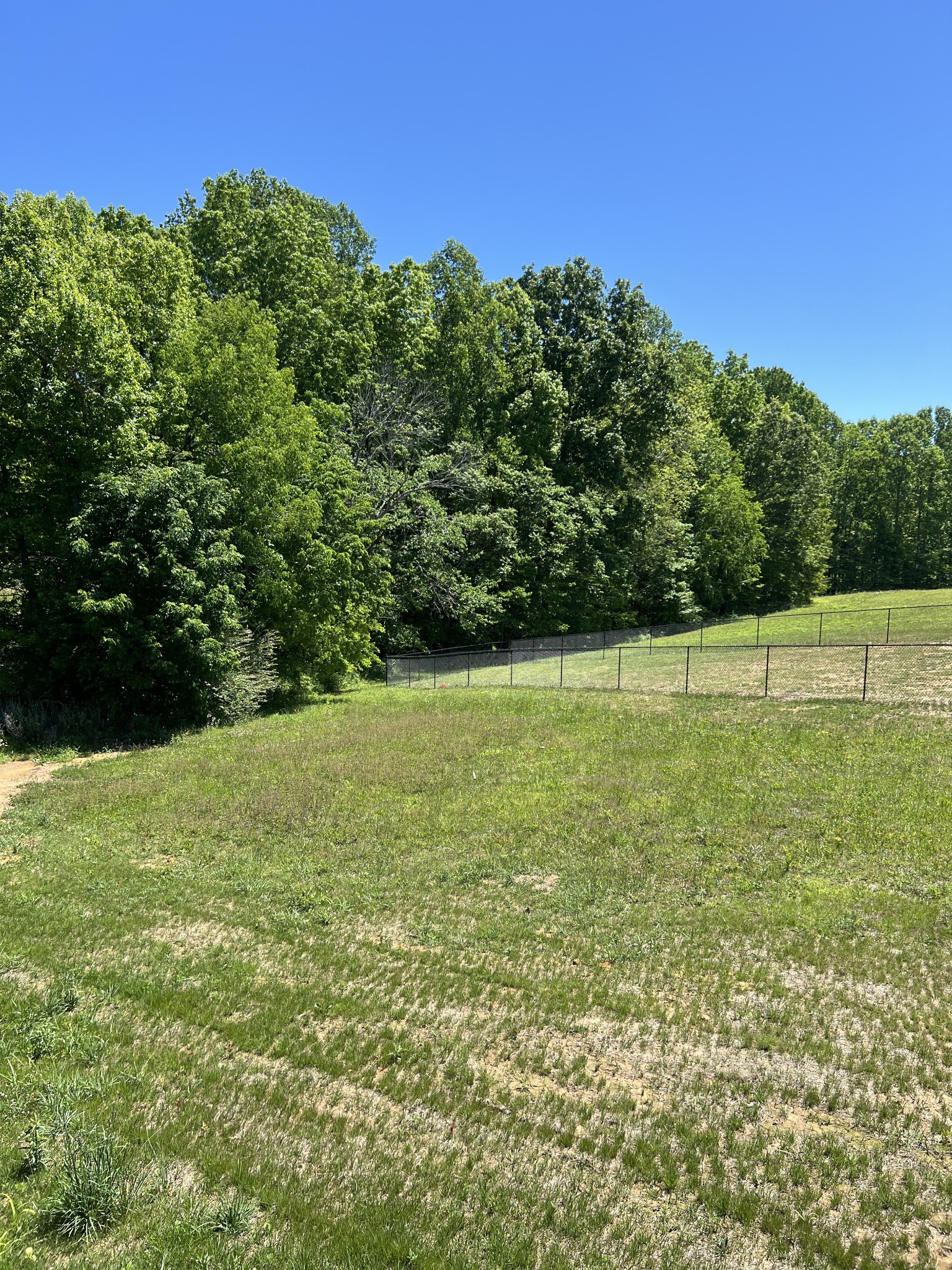 235 Ralph Spivey Lane Gainesboro, TN 38562 - Photo 43 of 80