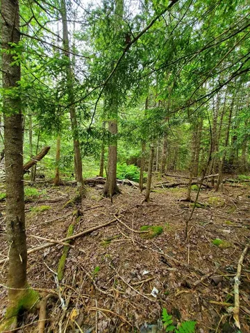 $35,000 | M1 L21-1 Street, Princeton, ME 04668